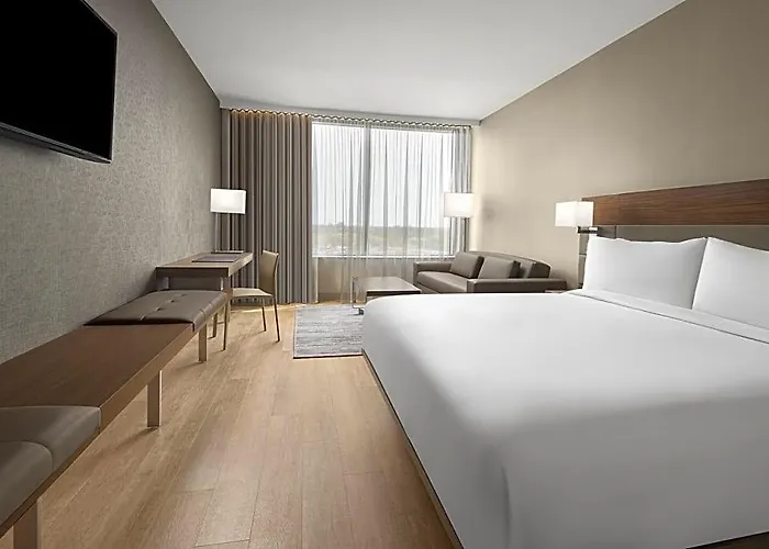 Ac By Marriott Clearwater