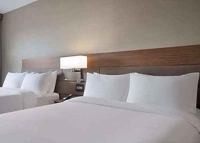 Ac By Marriott Clearwater 3*